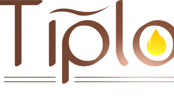 tiplo cheminee gaz bois insert